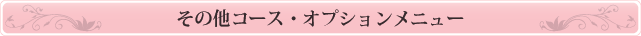 ̑R[XEIvVj[