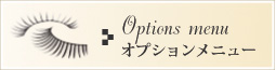 オプションメニュー