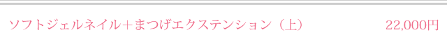 oCIWFlC{܂GNXeVij